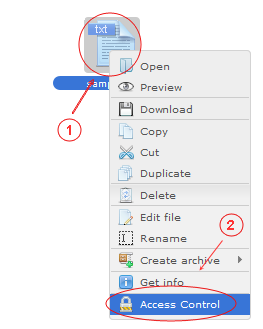 Manager Access Control | CMS Tools Files | Documentation: Access control of file/folder/volume with file right click context menu (image)