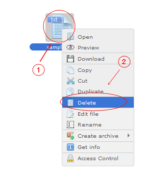 Manager Delete | CMS Tools Files | Documentation: Delete files/folders with file right click context menu (image)