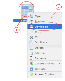 Manager Download | CMS Tools Files | Documentation: Download files with file right click context menu (image)