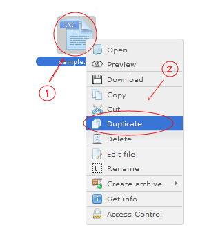 Manager Duplicate | CMS Tools Files | Documentation: Duplicate file/folder with file right click context menu (image)