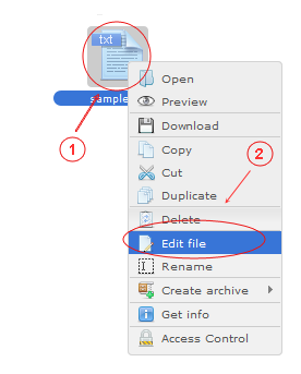 Manager Edit | CMS Tools Files | Documentation: Edit file with file right click context menu (image)