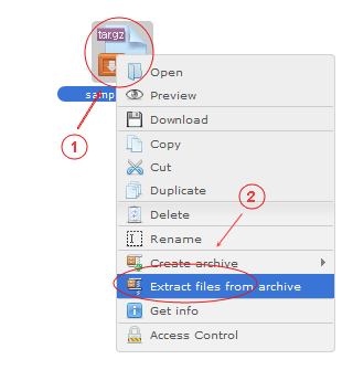 Manager Extract Files From Archive | CMS Tools Files | Documentation: Extract files/folders from archive with file right click context menu (image)