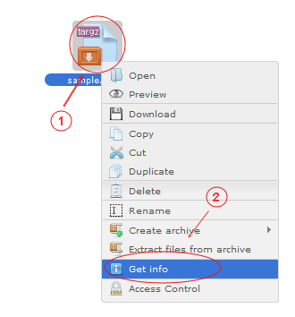 Manager Get Info | CMS Tools Files | Documentation: Get file/folder info with file right click context menu (image)