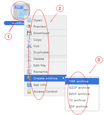 Manager Reference | CMS Tools Files | Documentation: Right click file context menu (image)