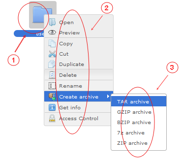 Manager Reference | CMS Tools Files | Documentation: Right click folder context menu (active folder area) (image)