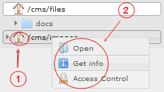 Manager Reference | CMS Tools Files | Documentation:Right click volume context menu (image)