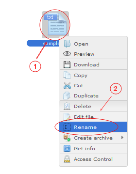Manager - Rename | CMS Tools Files | Documentation: Rename file/folder with file right click context menu (image)