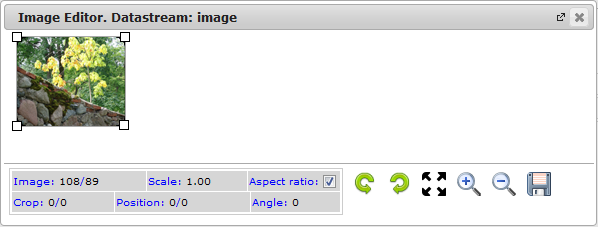 New Edit Page Data Streams | CMS Tools Pages | Documentation: datastream Image editor (image)