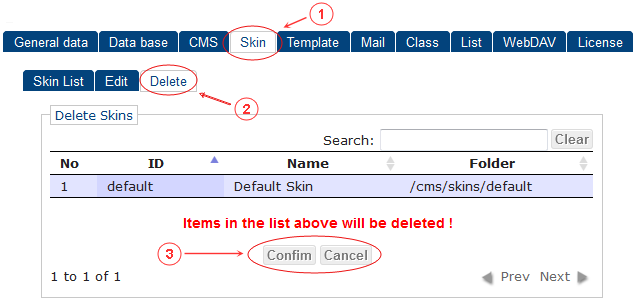 Skin Delete | CMS Tools Setup | Documentation (image)